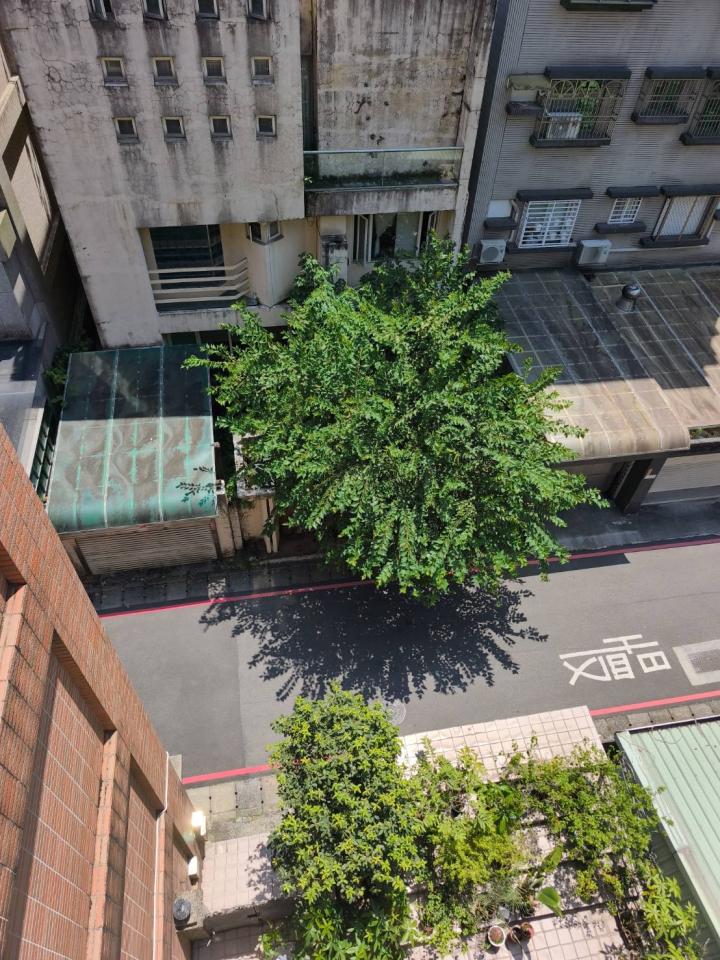 園藝維護案件圖片