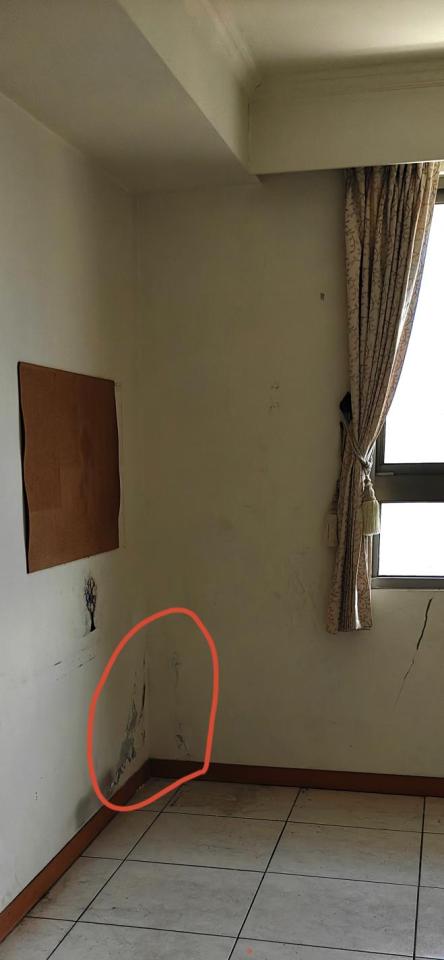 壁癌處理案件圖片