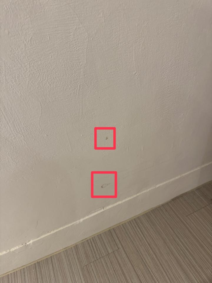 油漆工程案件圖片