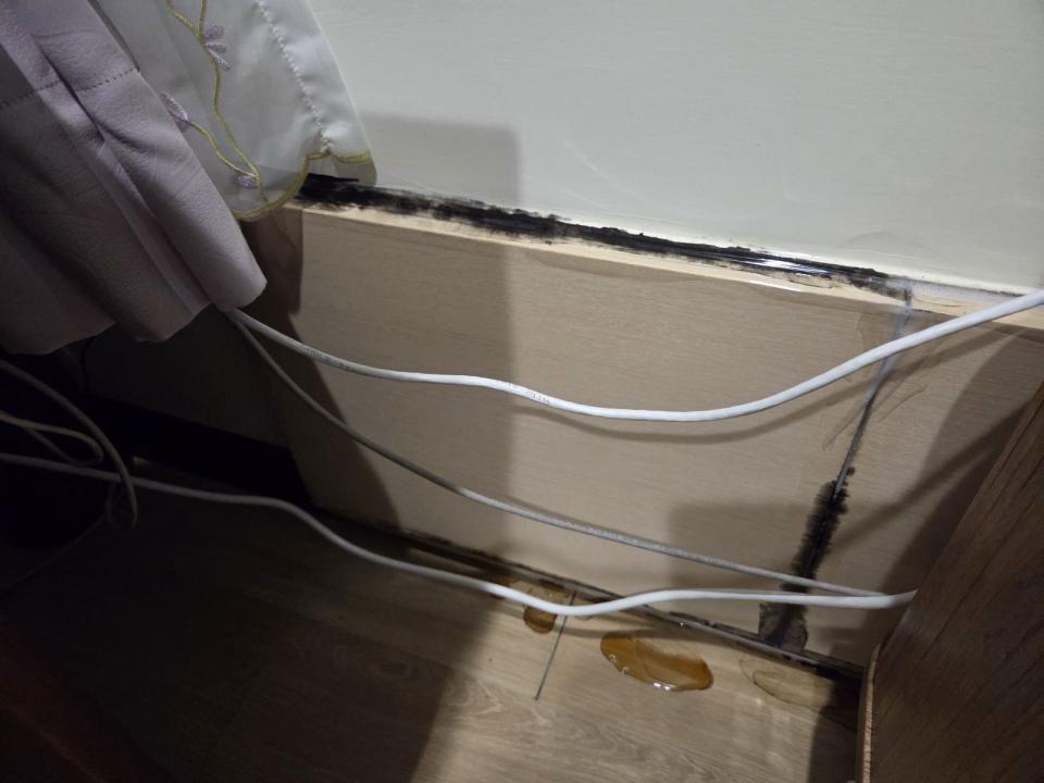 除霉案件圖片