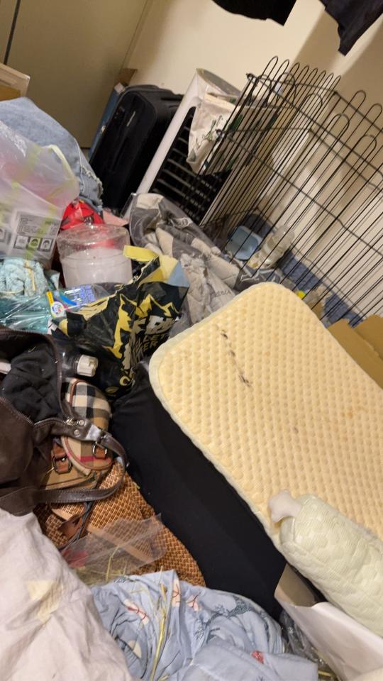 代收垃圾案件圖片