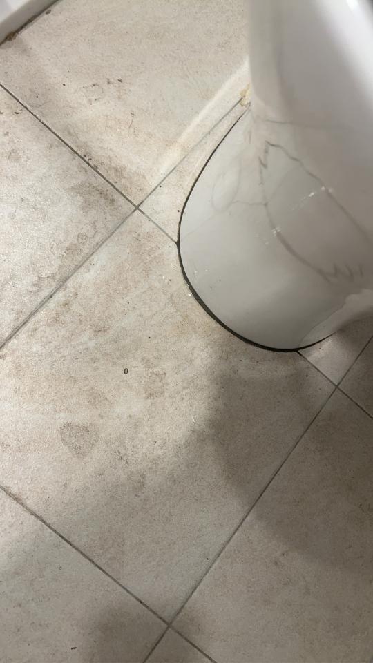 馬桶裝修案件圖片