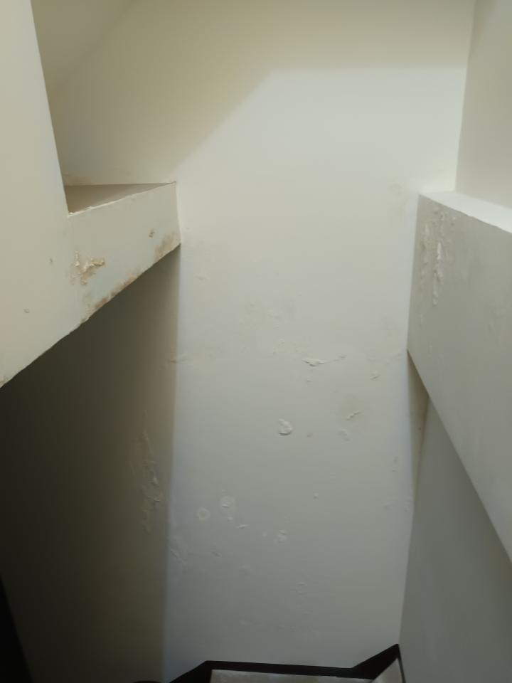 漏水處理案件圖片