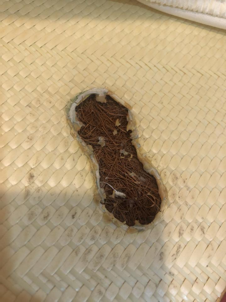 床墊維修案件圖片