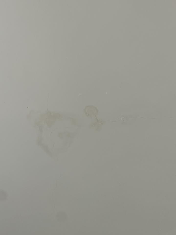 批土案件圖片