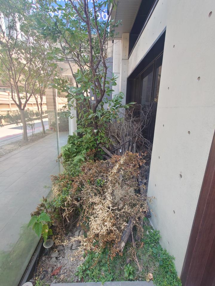 園藝維護案件圖片