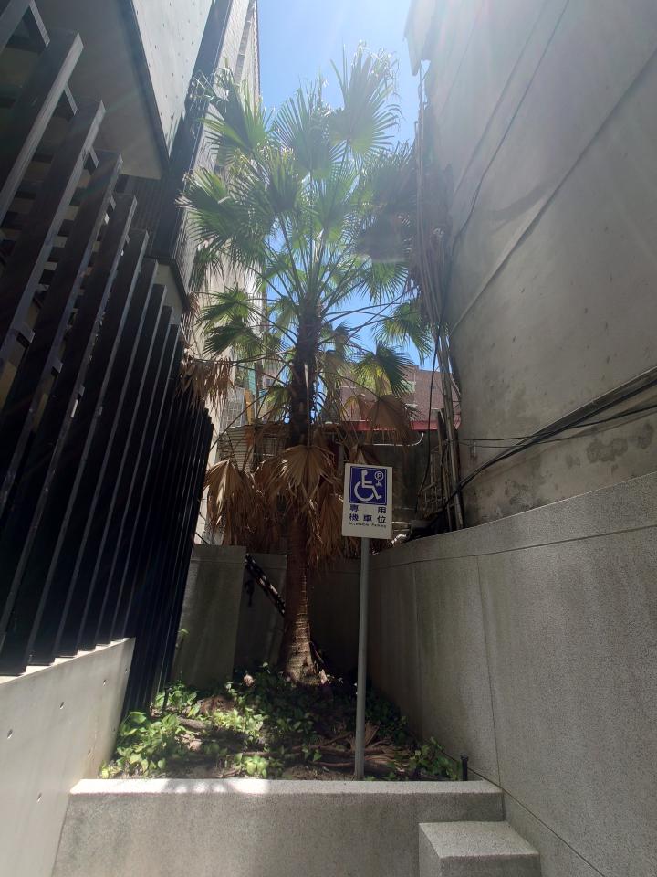 園藝維護案件圖片