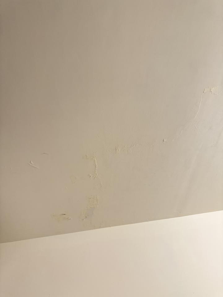 油漆工程案件圖片