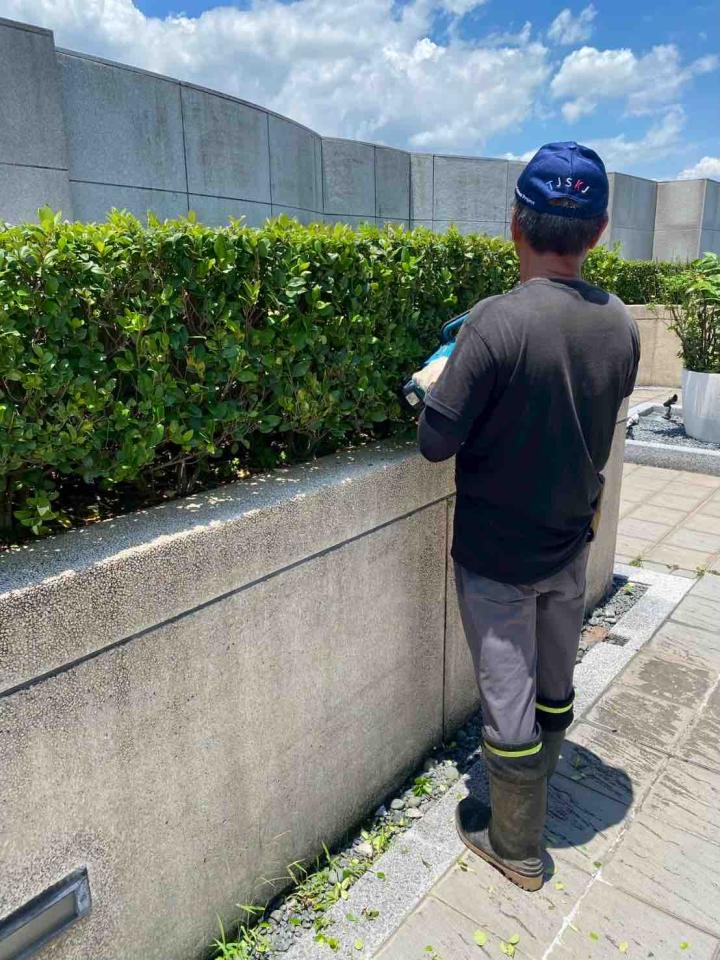 園藝維護案件圖片