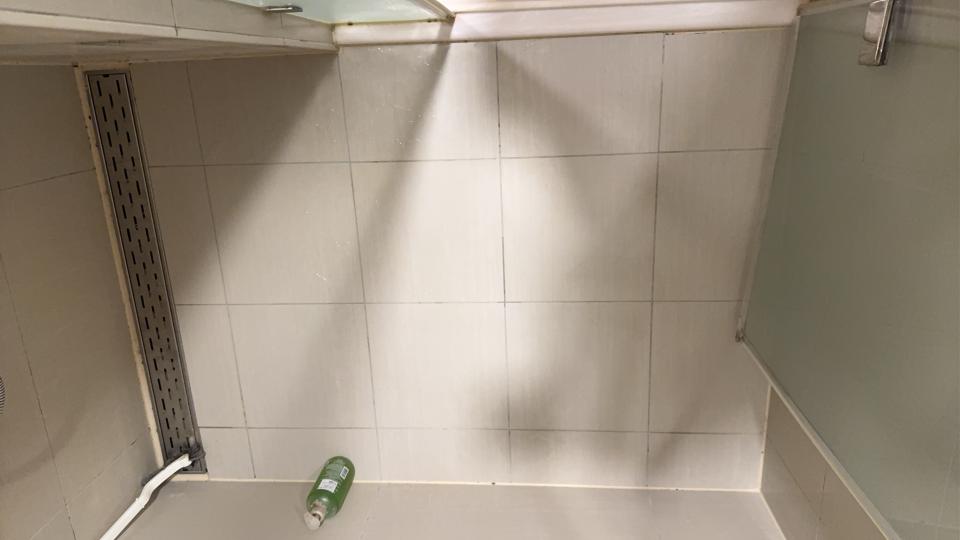 除霉案件圖片