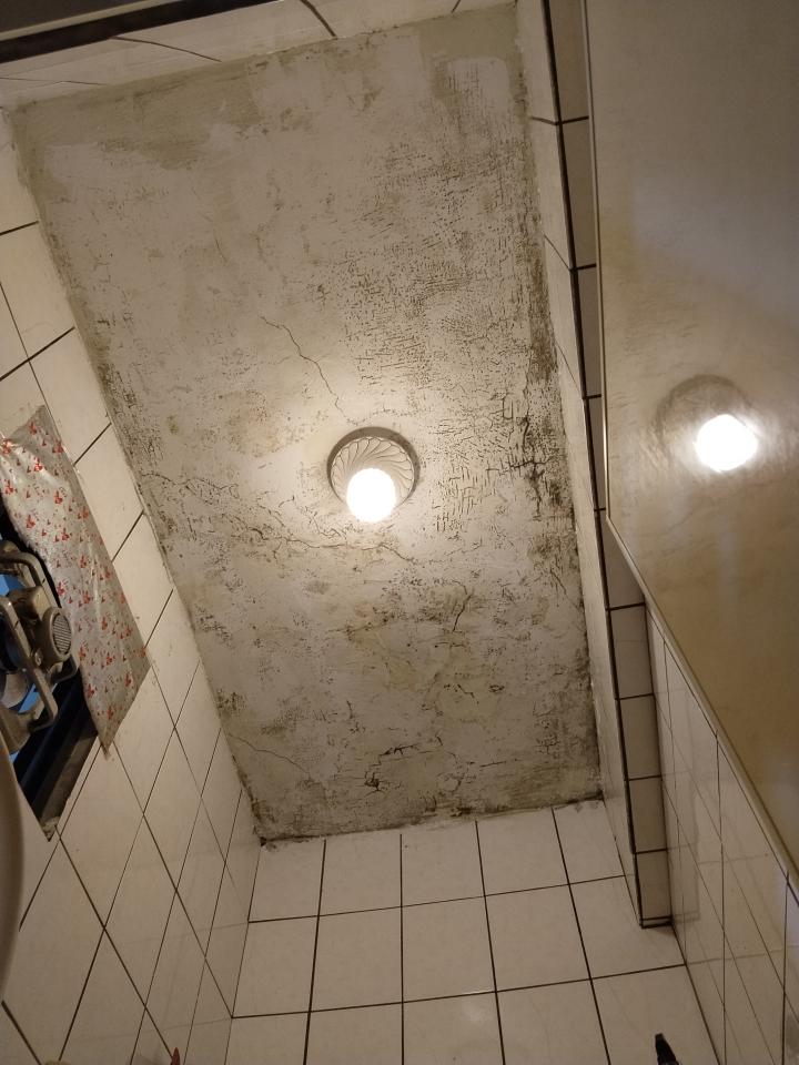 油漆工程案件圖片