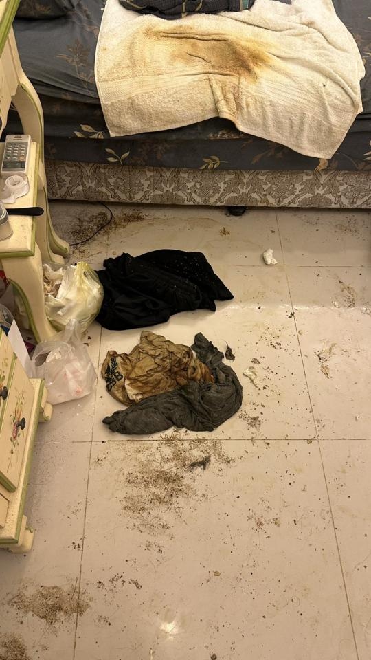 特殊清潔案件圖片