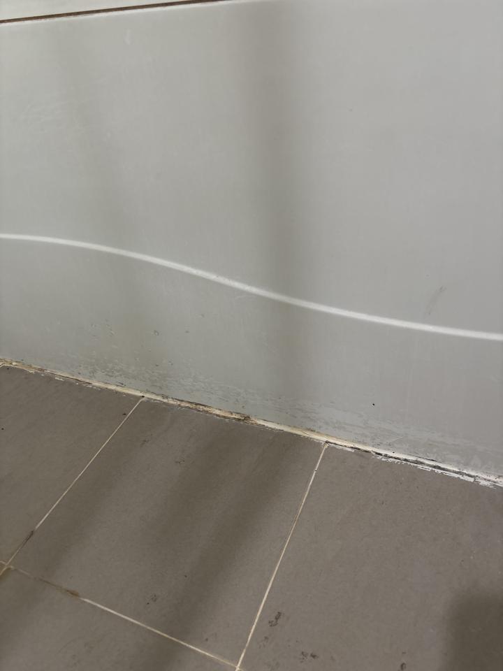 矽利康工程案件圖片