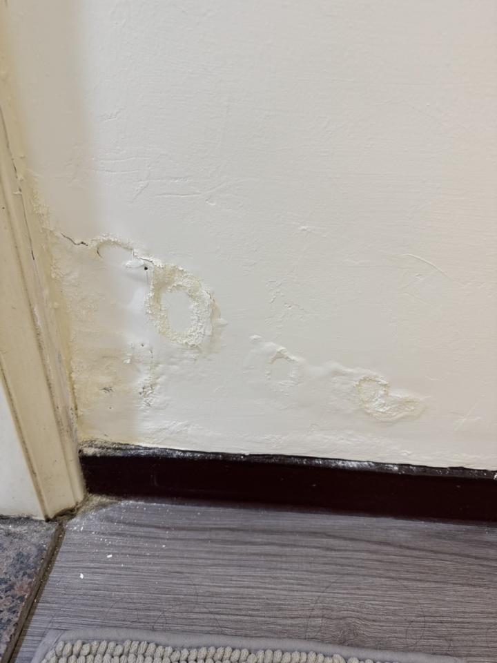 油漆工程案件圖片