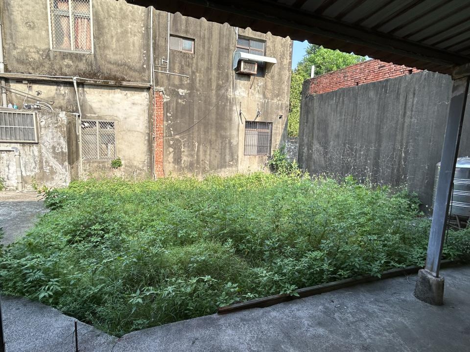 園藝維護案件圖片