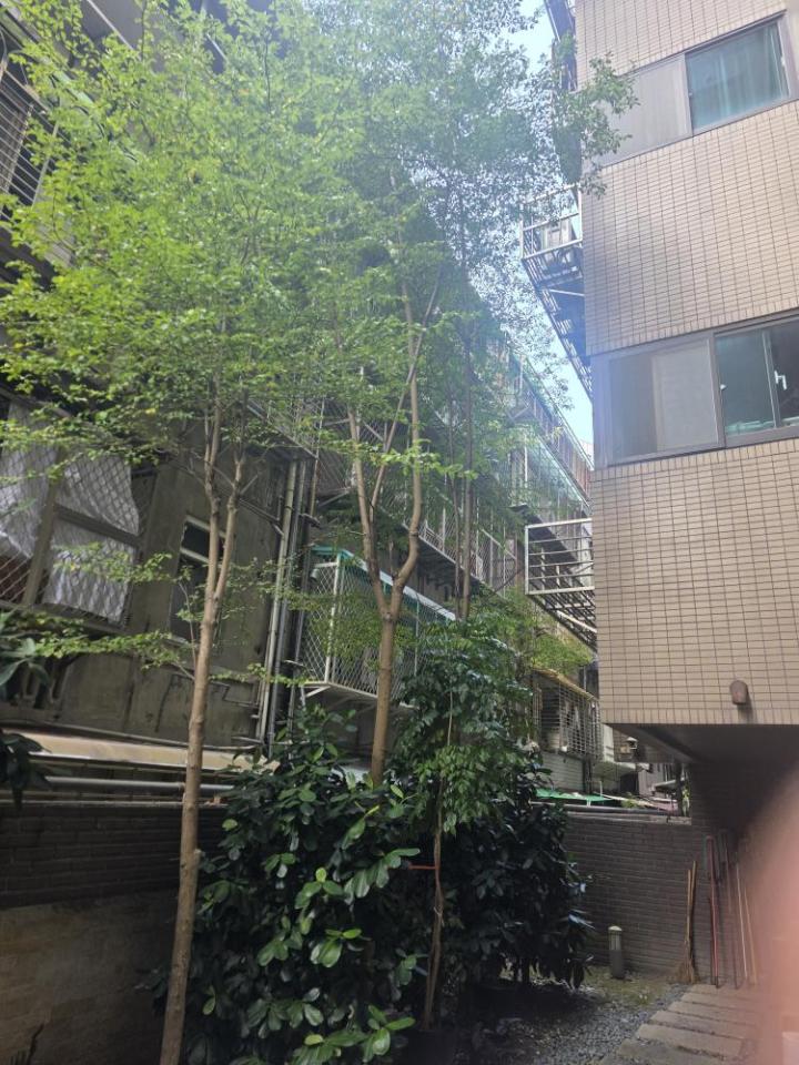 園藝維護案件圖片