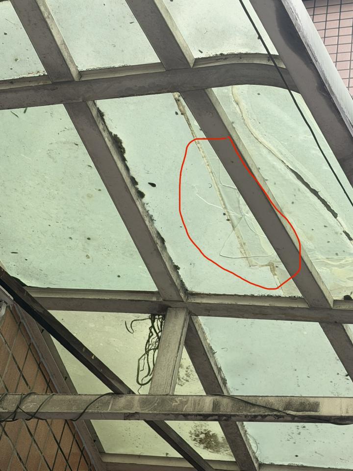 遮雨棚安裝案件圖片