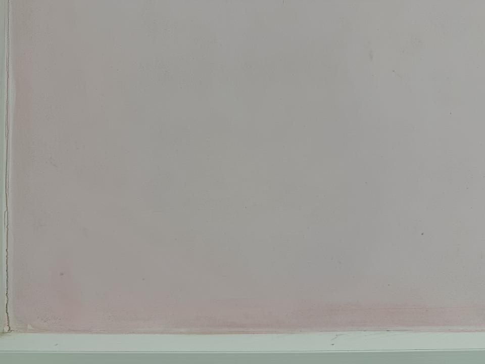 除霉案件圖片