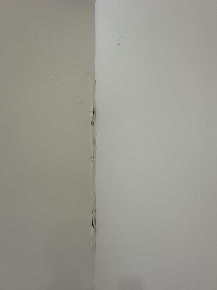 壁癌處理案件圖片