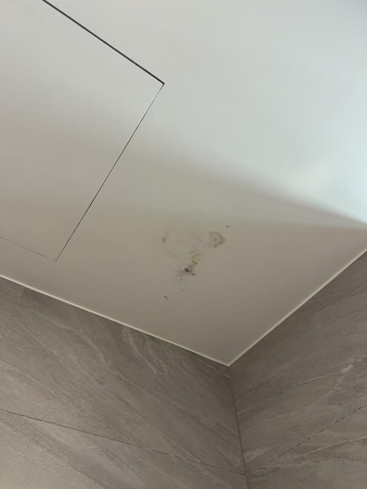 抓漏案件圖片