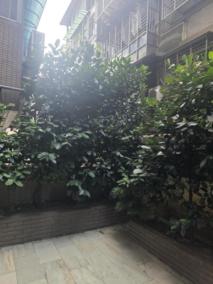 園藝維護案件圖片