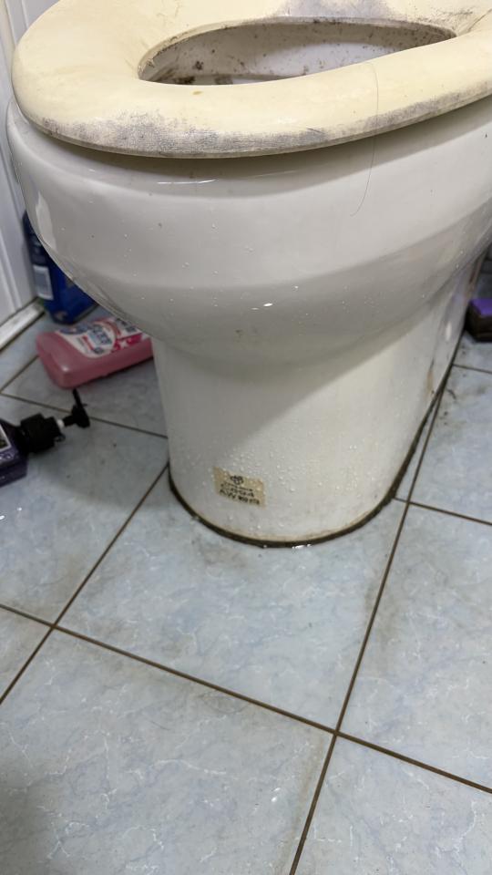 馬桶裝修案件圖片