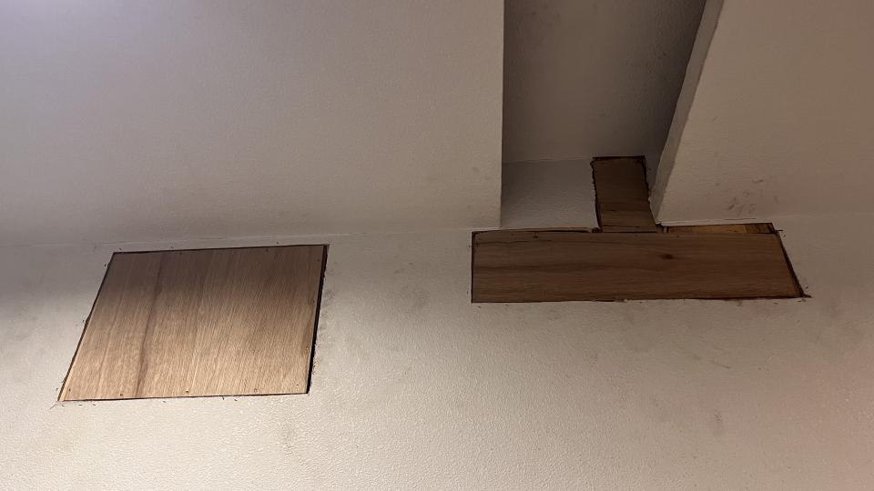 批土案件圖片
