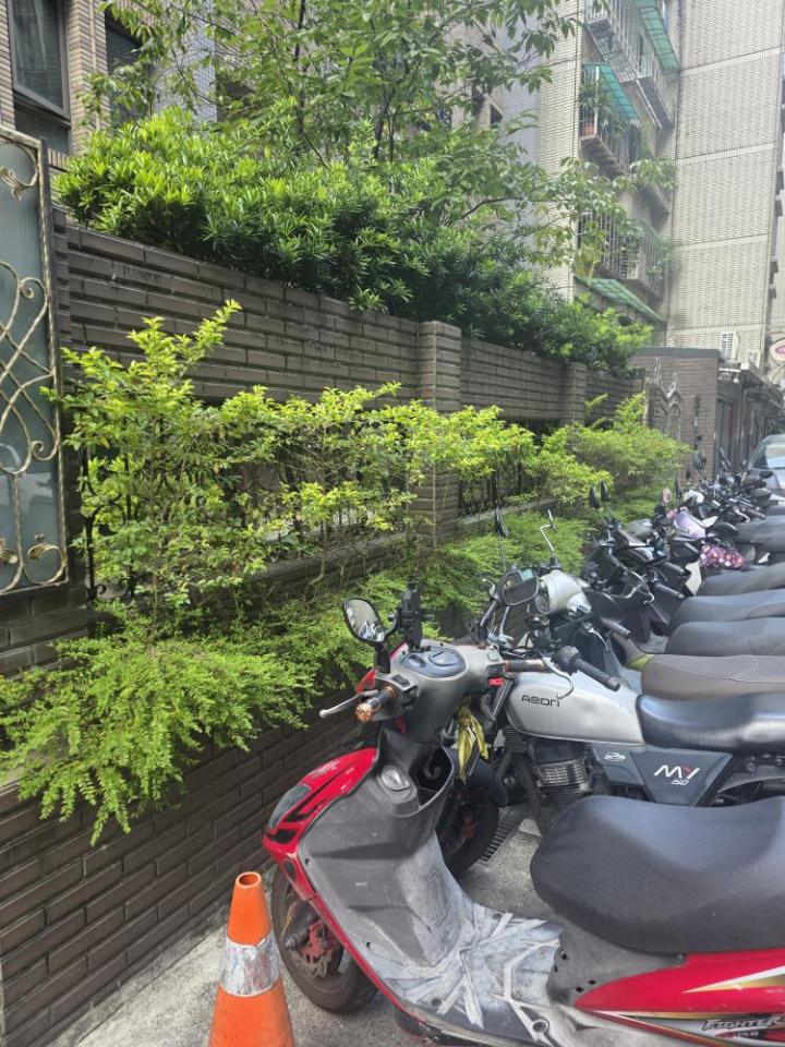 園藝維護案件圖片