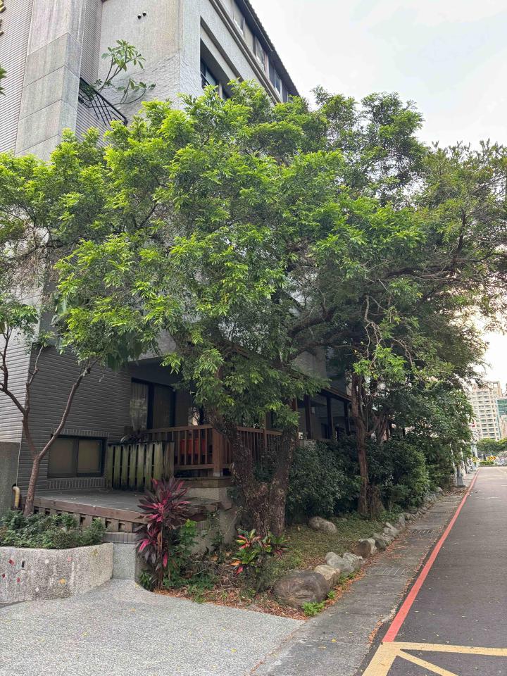 園藝維護案件圖片