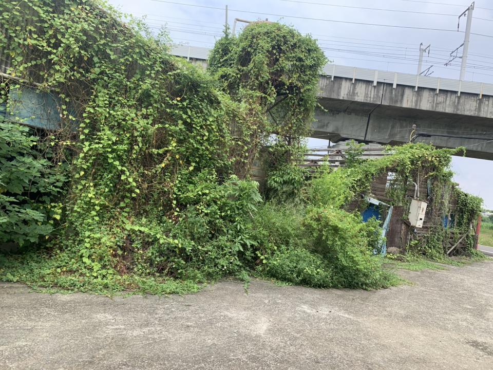 園藝維護案件圖片