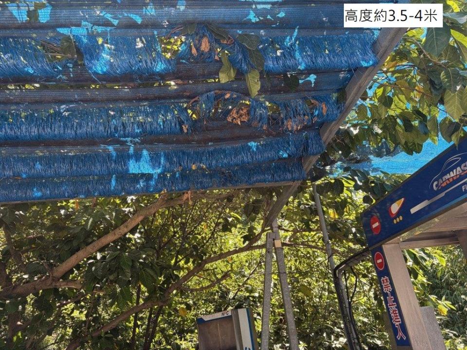 園藝維護案件圖片