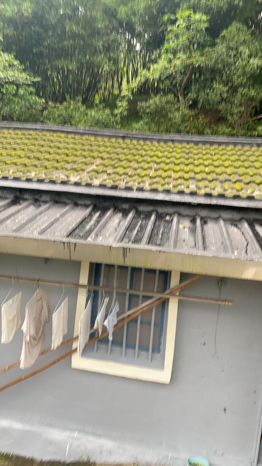 屋瓦翻修案件圖片
