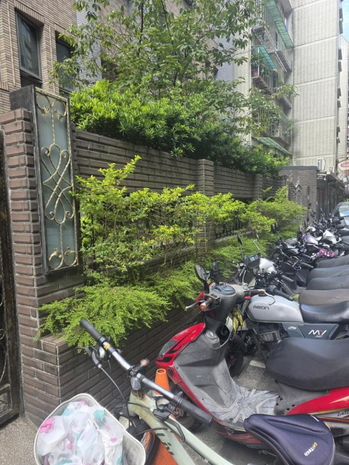 園藝維護案件圖片