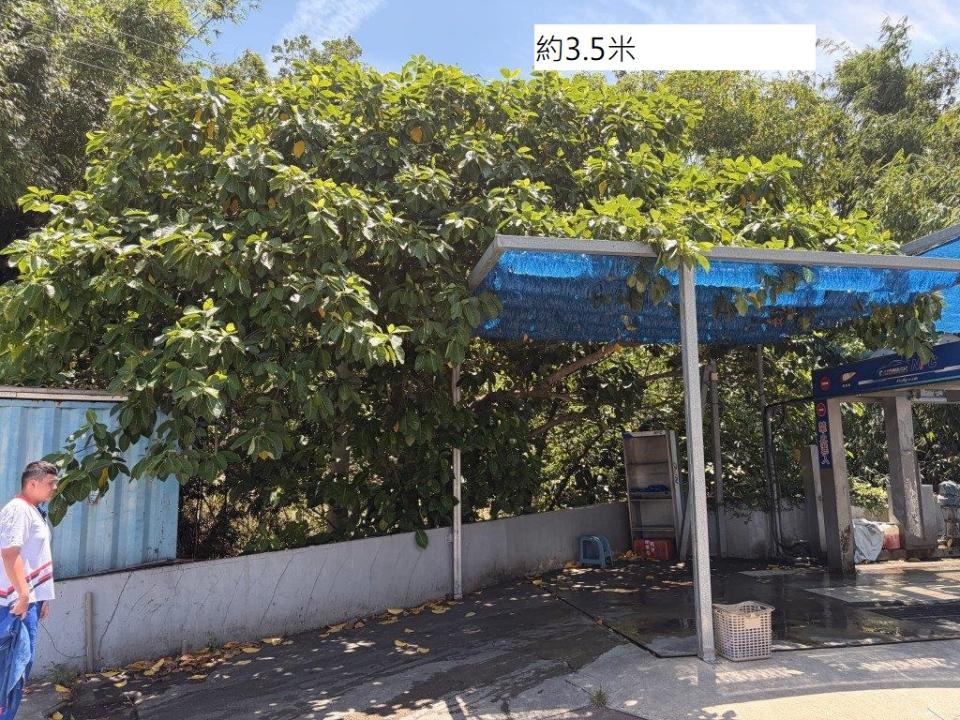園藝維護案件圖片