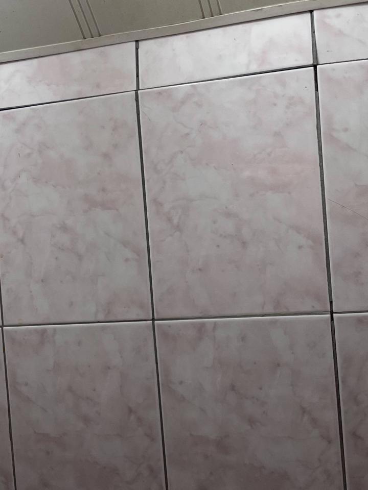 泥作/水泥施工案件圖片