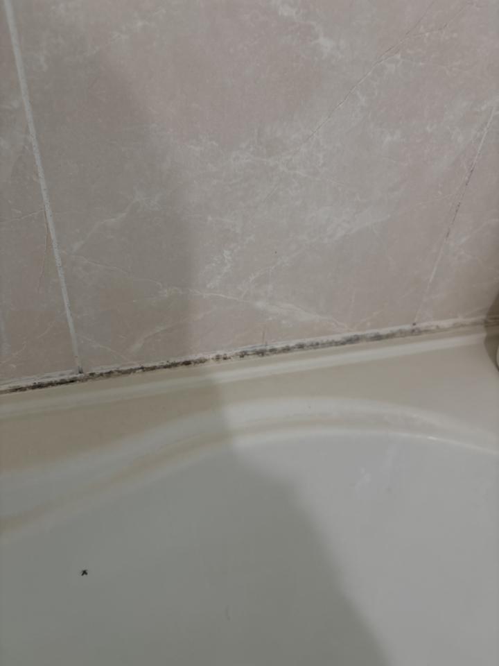 矽利康工程案件圖片