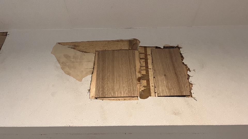 批土案件圖片