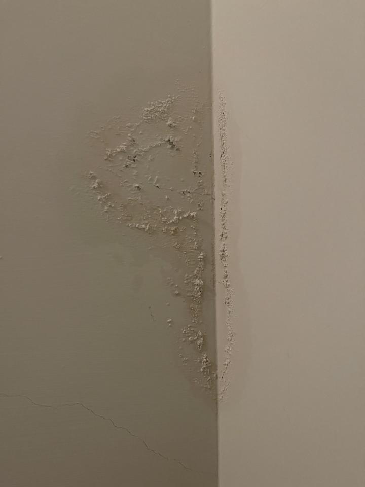 抓漏案件圖片