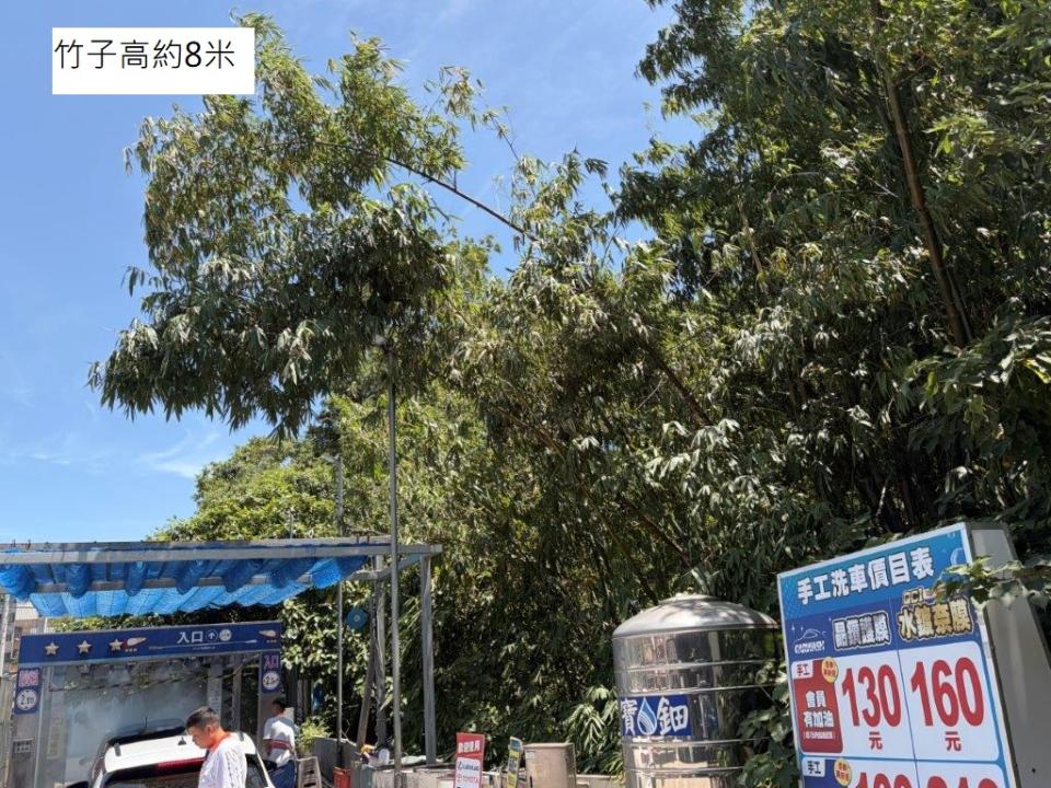 園藝維護案件圖片