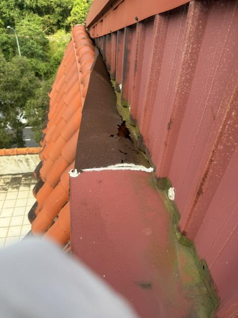 鐵皮屋頂案件圖片
