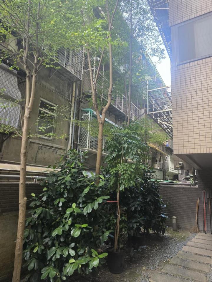園藝維護案件圖片