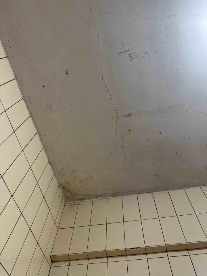油漆工程案件圖片