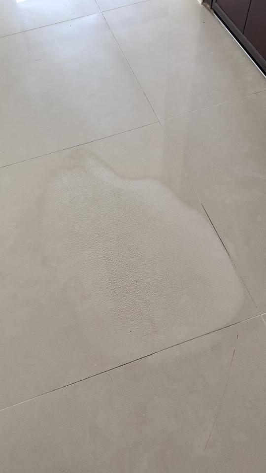 抓漏案件圖片