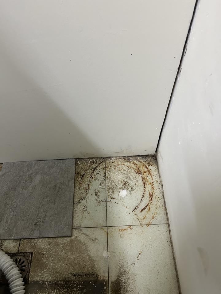 抓漏案件圖片