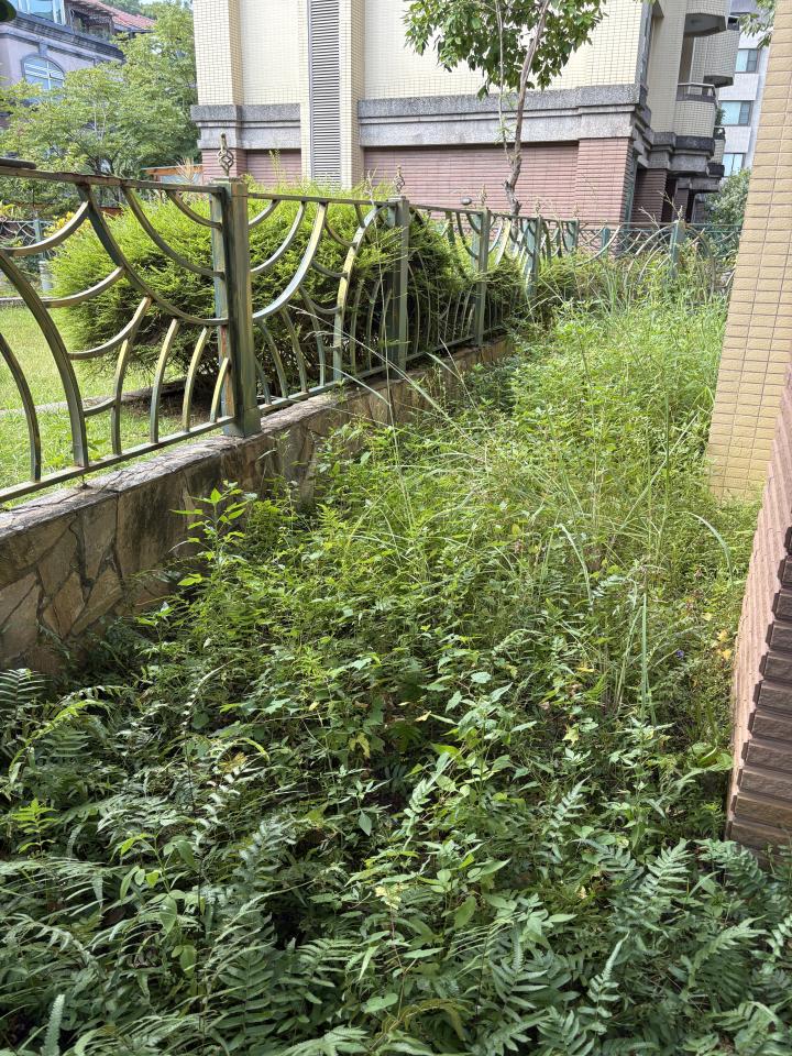 園藝維護案件圖片