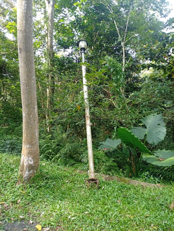 水電行案件圖片