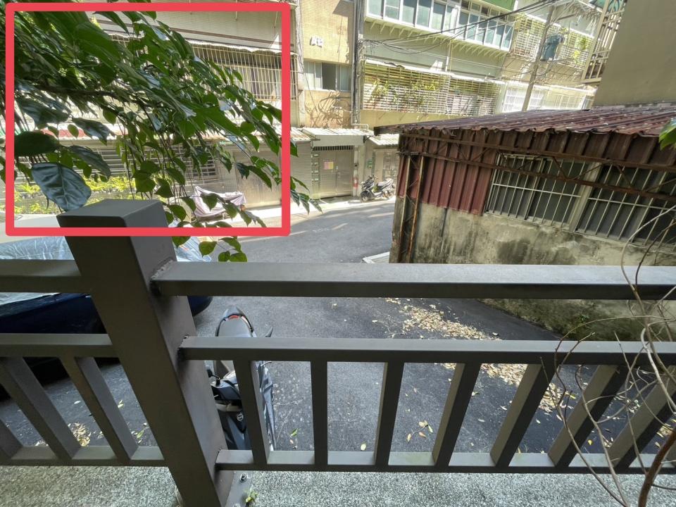 園藝維護案件圖片