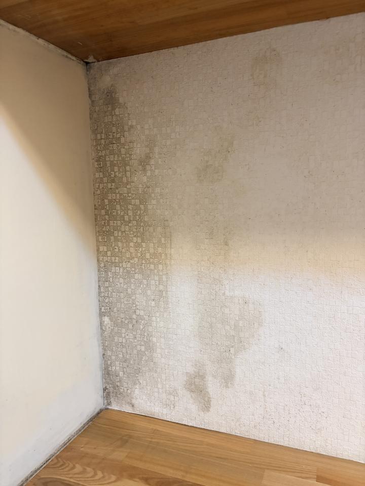 抓漏案件圖片