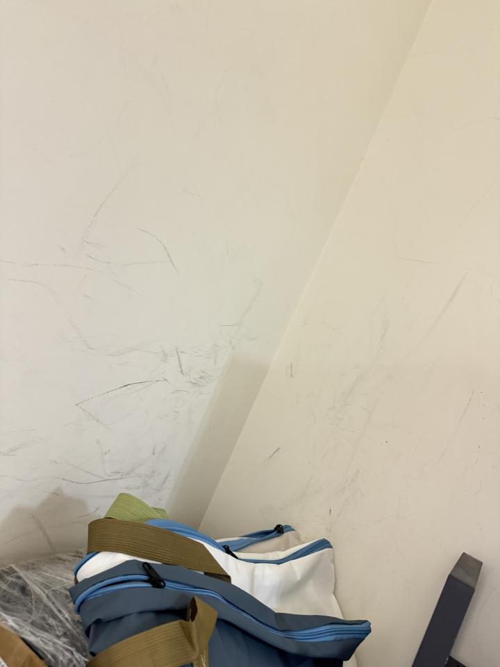油漆工程案件圖片