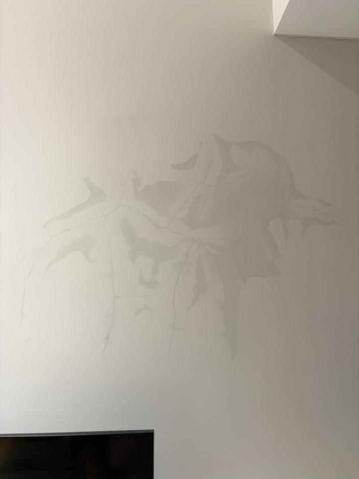 漏水處理案件圖片